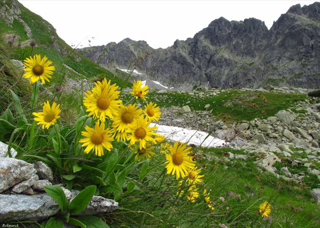 Tatry