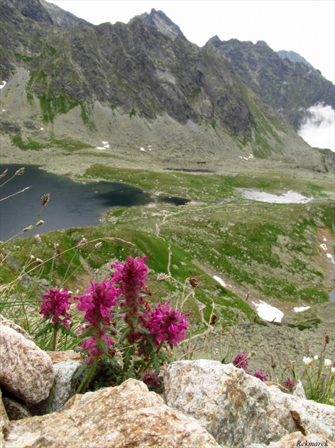 Tatry