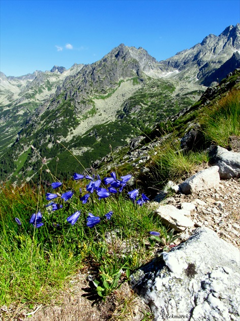 Tatry