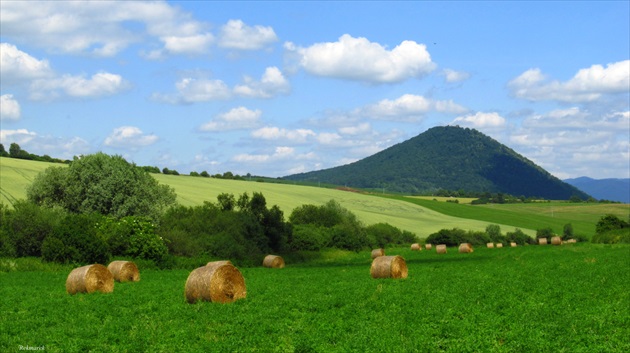 Šarišský hradný vrch