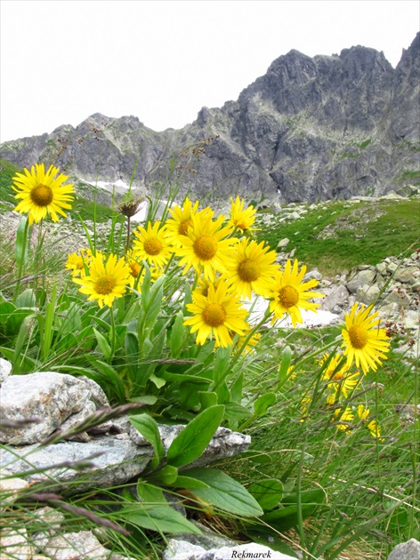 Tatry