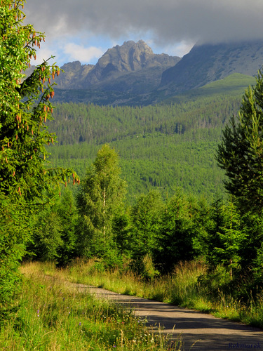 Tatry