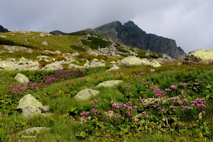 Tatry