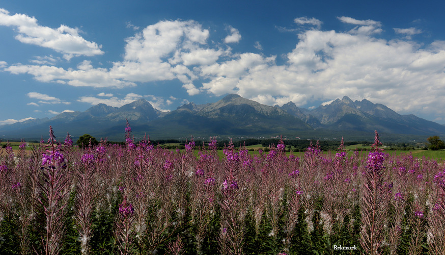 Tatry