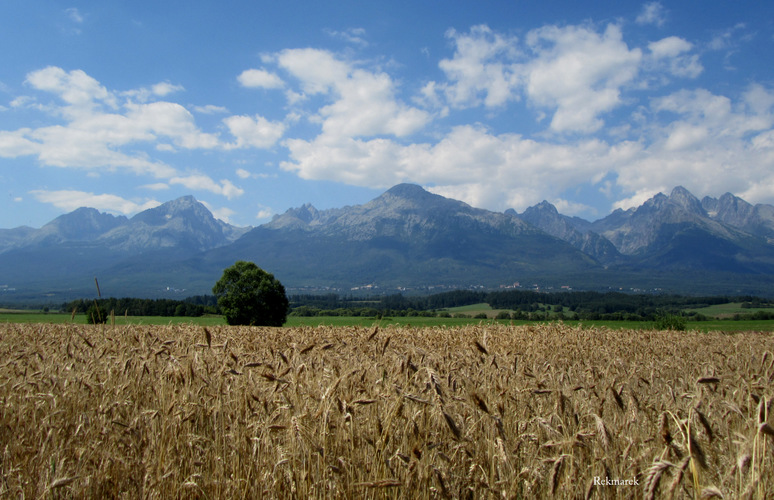 Tatry