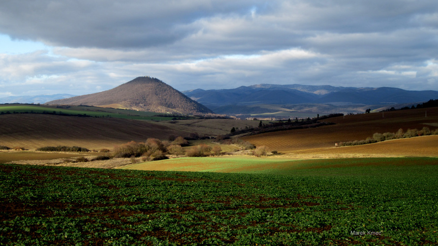 Šariš