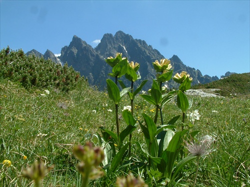 Vysoké Tatry