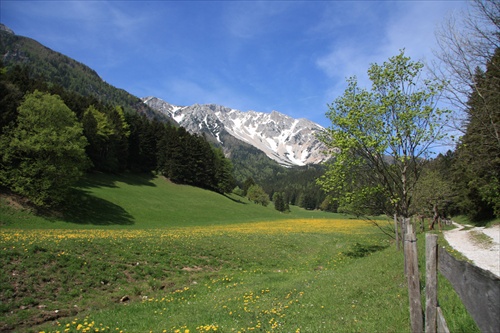 Schneeberg