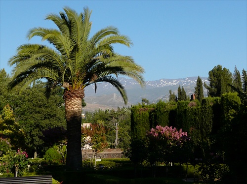 Alhambra a Sierra Nevada