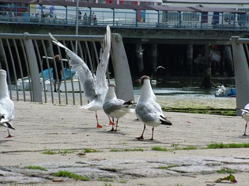 Portsmouth, Hampshire