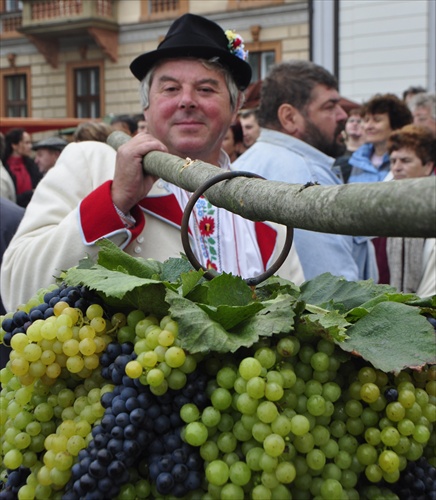 Hroznový strapec....