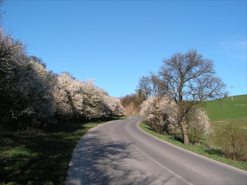 Cesta života