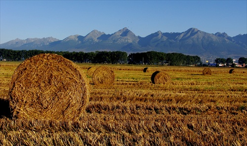 Žatva pod Tatrami