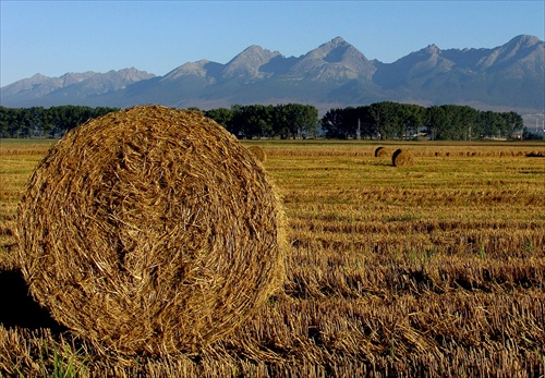 Balík slamy