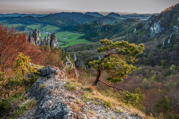 Súľov a súľovské varhany