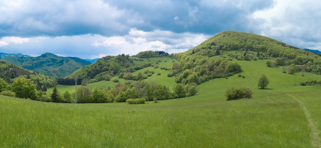 Javorina pri Čičmanoch.