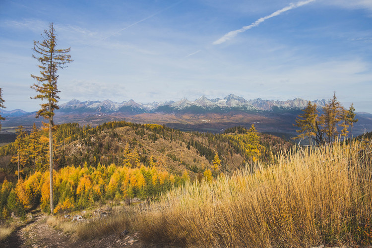 Vysoké Tatry z Kozieho Kameňa