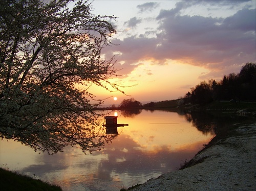 striebornica