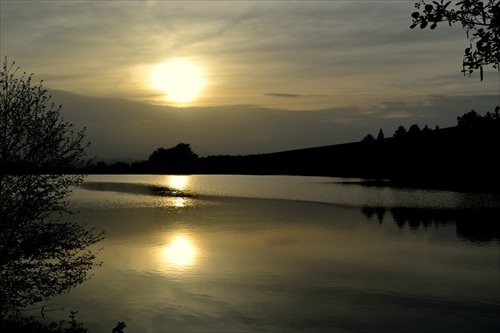 sriebornica