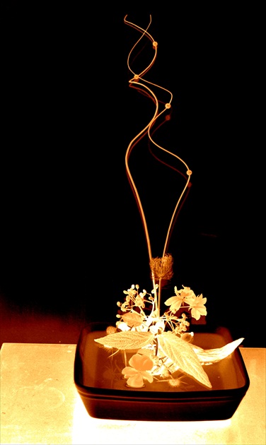 ikebana