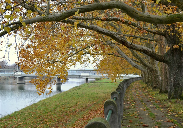 ....Piešťanská idylka....