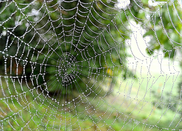 ...svieže ráno umelcov....