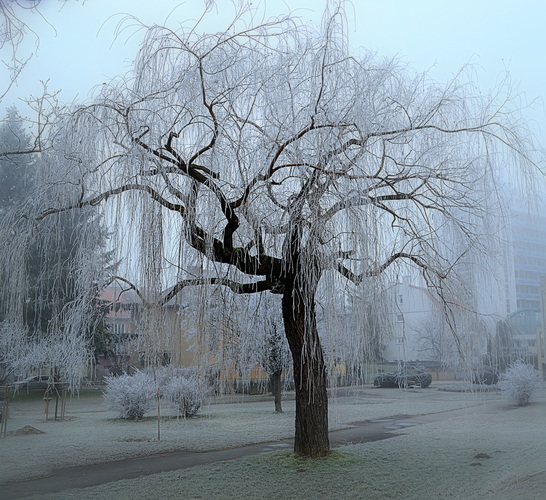 ..v priesvitnom odeve....