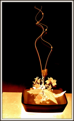 ...ikebana....