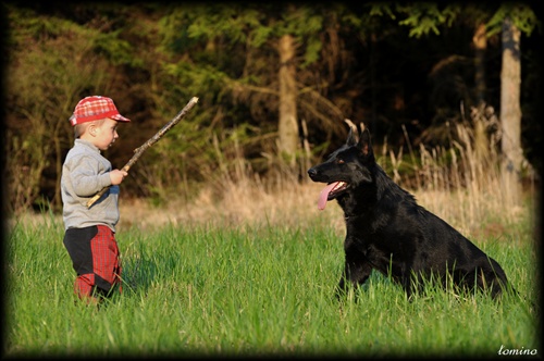 Child and dog