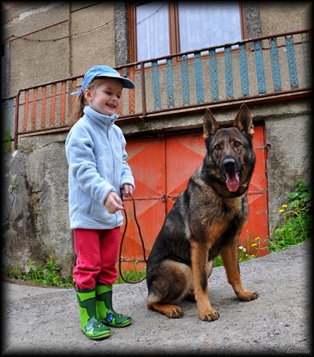 Child and dog