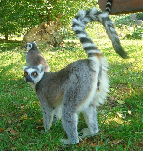 ZOO Zlín