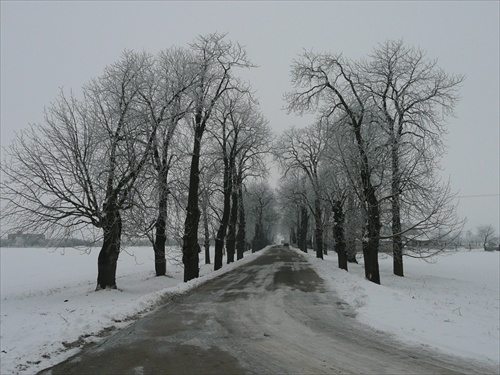 Bažantnica