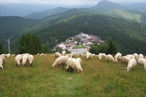 Šachtičky v lete