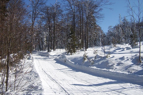 Bežecké cestičky na Skalke...