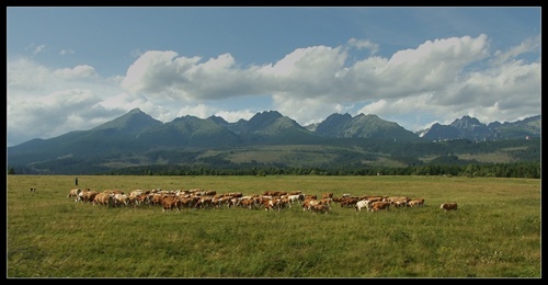 Tatry II