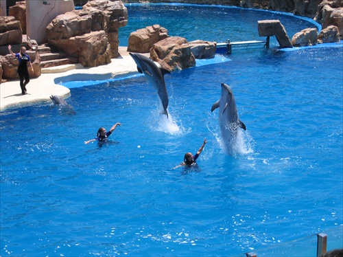 Sea World San Diego