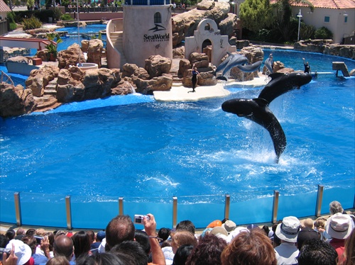 Sea World San Diego