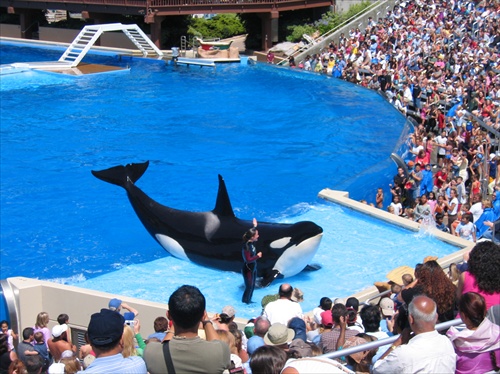 Sea World San Diego