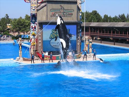 Sea World San Diego