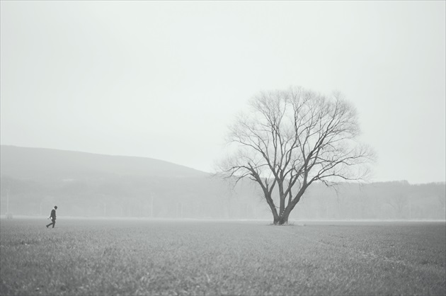 man and tree