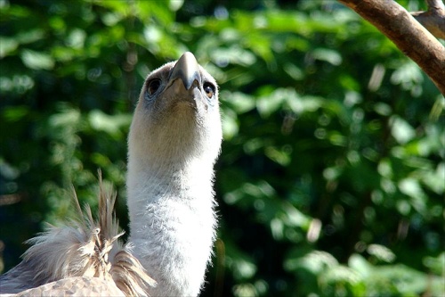 ZOO Bojnice