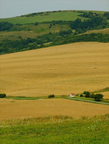 Kaplička