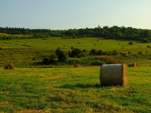 Pohodlna praca