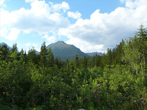 Vysoké Tatry