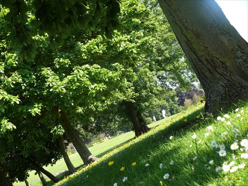 Phoenix Park, Dublin