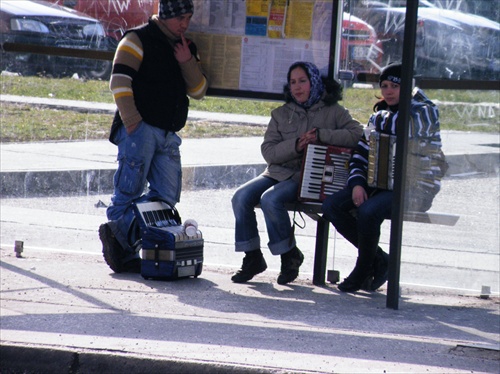 harmonikári