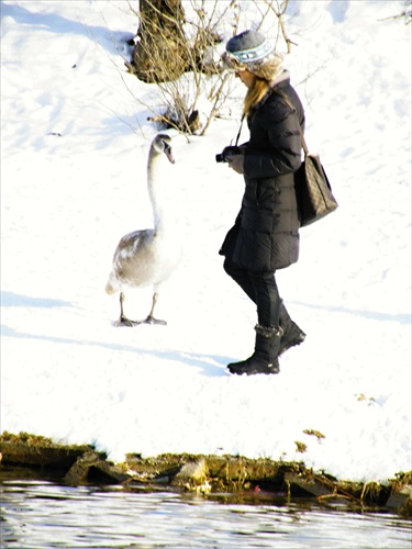 objekt fotografky