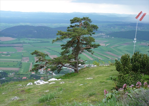 výhľad nad vyhliadkovým ochozom Felsenpfad