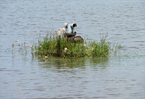 zavlažovací hydrant