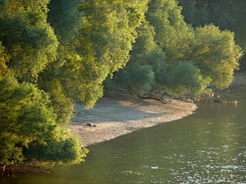 dunajská natur pláž